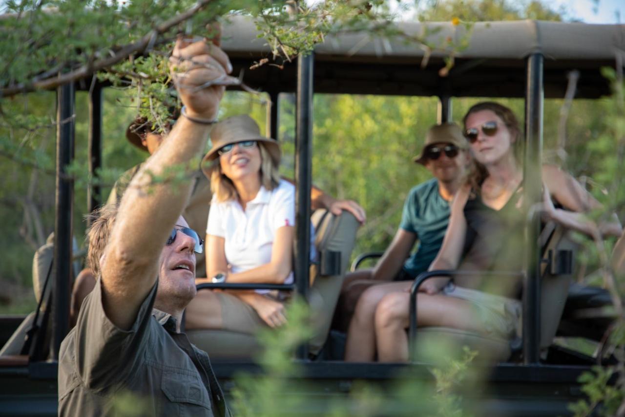 Parsons Hilltop Safari Camp Khu bảo tồn Khu bảo tồn Balule Game Reserve Ngoại thất bức ảnh