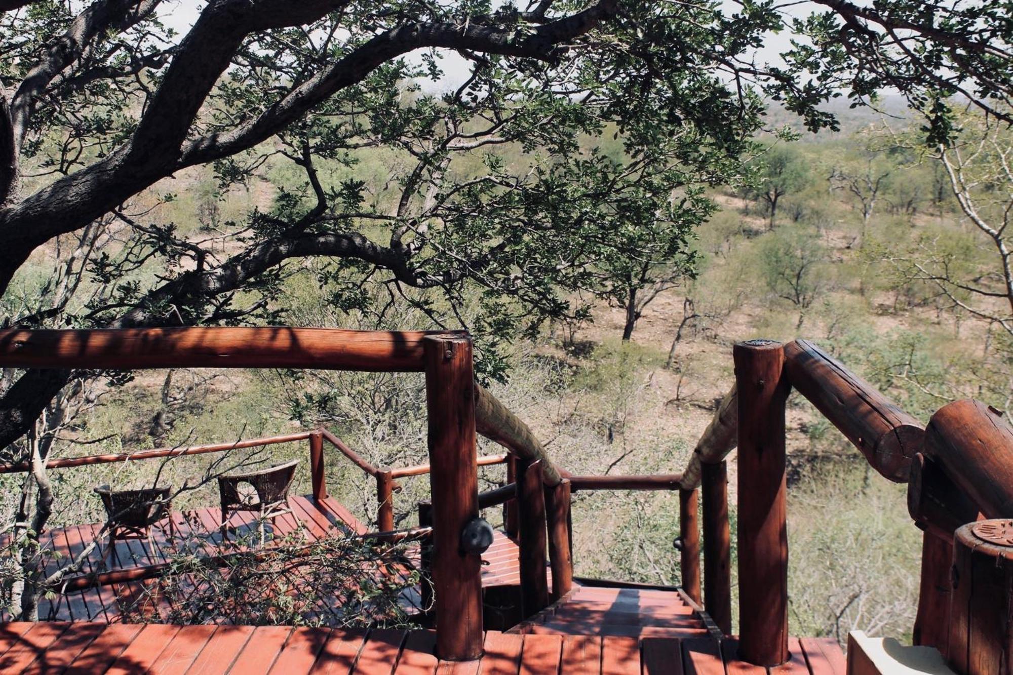 Parsons Hilltop Safari Camp Khu bảo tồn Khu bảo tồn Balule Game Reserve Ngoại thất bức ảnh