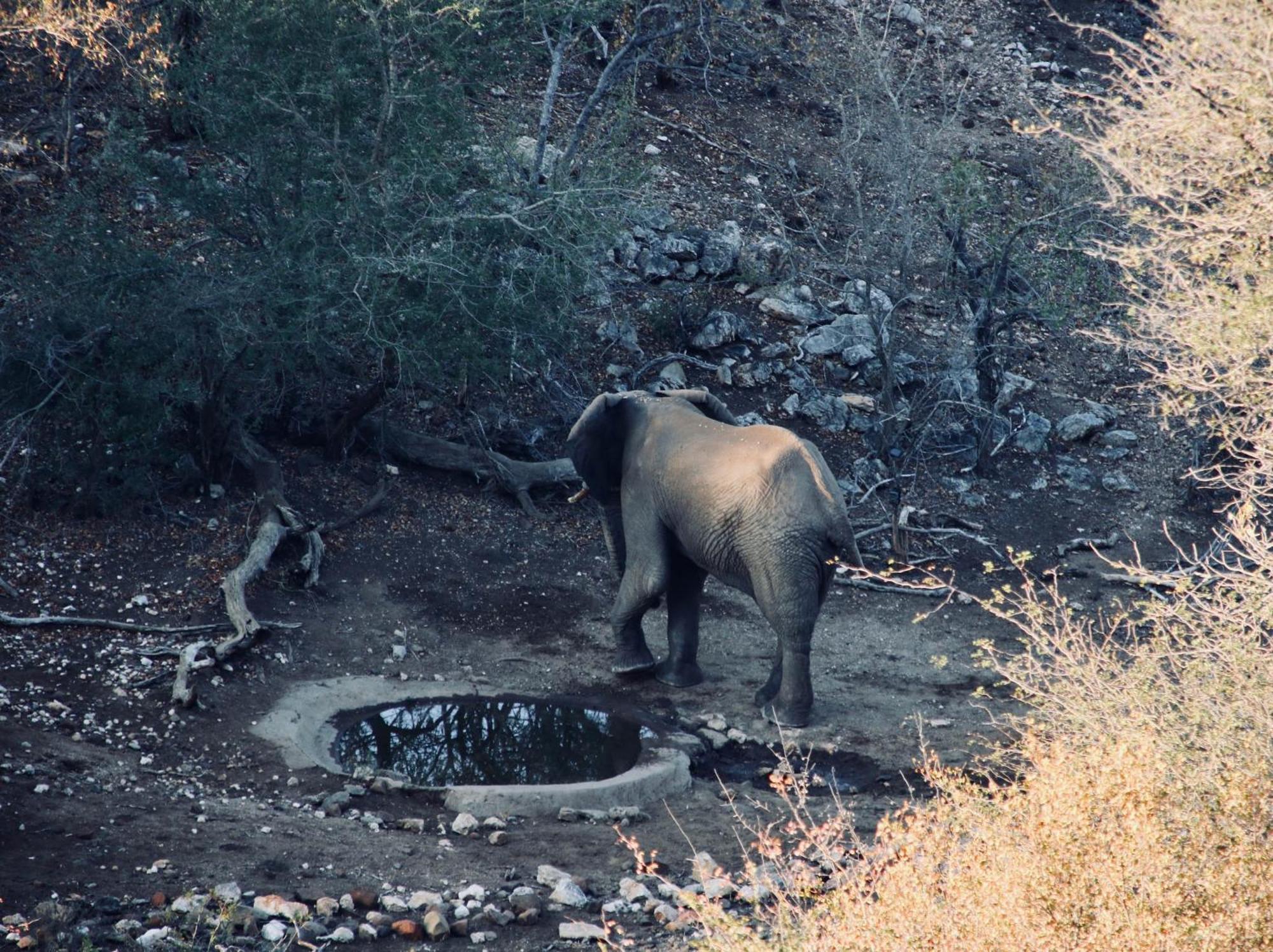 Parsons Hilltop Safari Camp Khu bảo tồn Khu bảo tồn Balule Game Reserve Ngoại thất bức ảnh