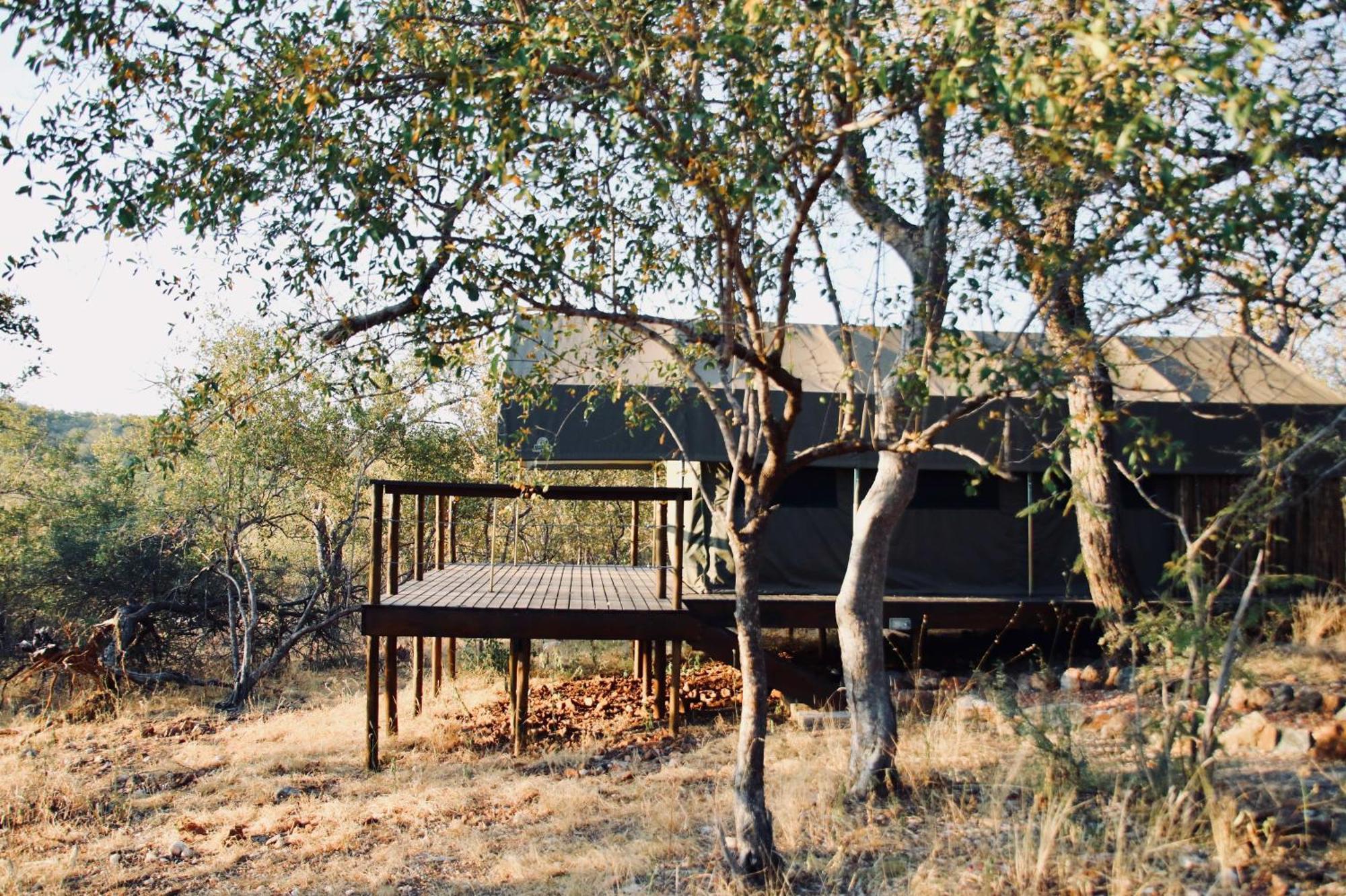 Parsons Hilltop Safari Camp Khu bảo tồn Khu bảo tồn Balule Game Reserve Ngoại thất bức ảnh