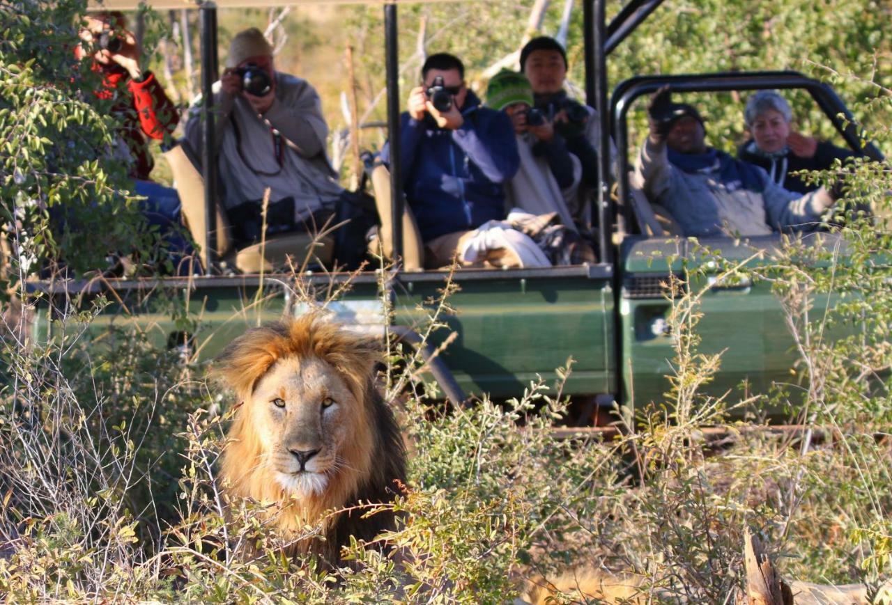 Parsons Hilltop Safari Camp Khu bảo tồn Khu bảo tồn Balule Game Reserve Ngoại thất bức ảnh