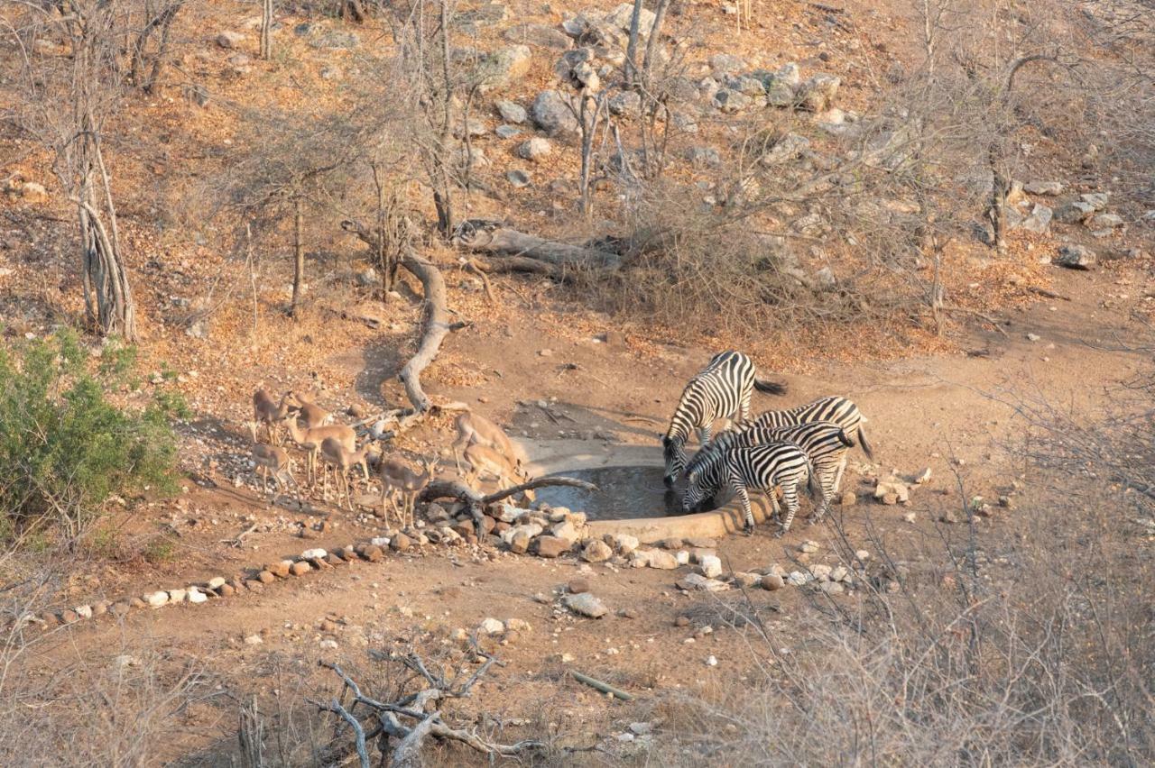 Parsons Hilltop Safari Camp Khu bảo tồn Khu bảo tồn Balule Game Reserve Ngoại thất bức ảnh