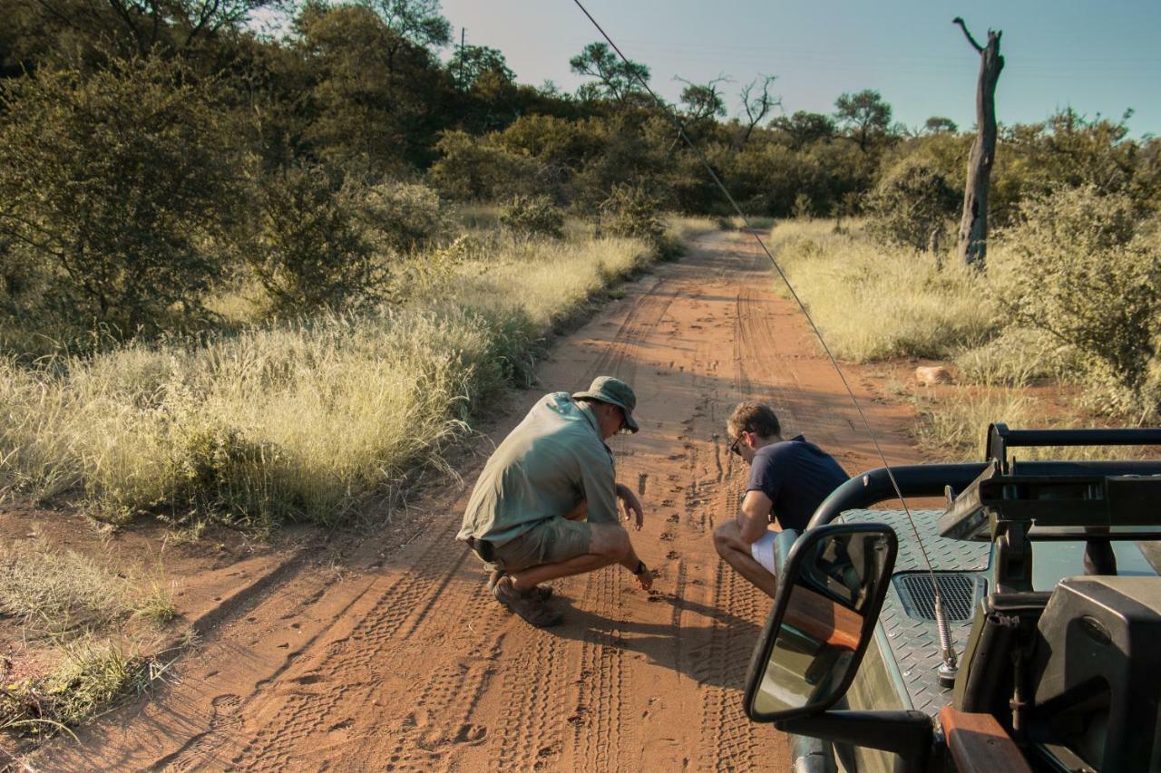 Parsons Hilltop Safari Camp Khu bảo tồn Khu bảo tồn Balule Game Reserve Ngoại thất bức ảnh